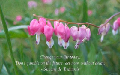 Change your life today. Don’t gamble on the future, act now, without delay. ~Simone de Beauvoir