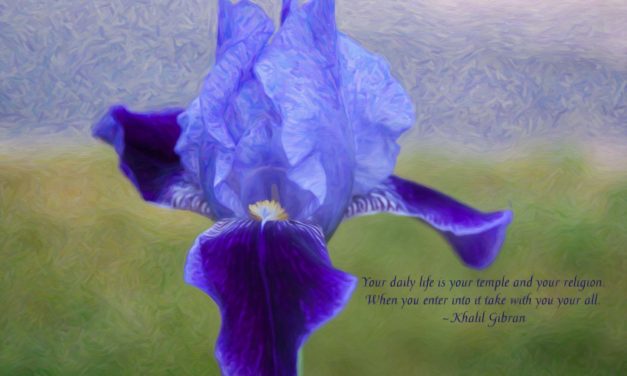 Your daily life is your temple and your religion. When you enter into it, take with you your all. ~Khalil Gibran