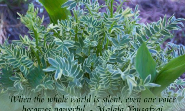 When the whole world is silent, even one voice becomes powerful. ~Malala Yousafzai