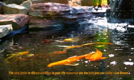 The only limits to the possibilities in your life tomorrow are the buts you use today. ~Les Brown