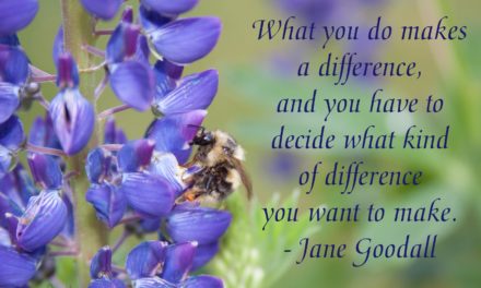 What you do makes a difference, and you have to decide what kind of difference you want to make. ~Jane Goodall