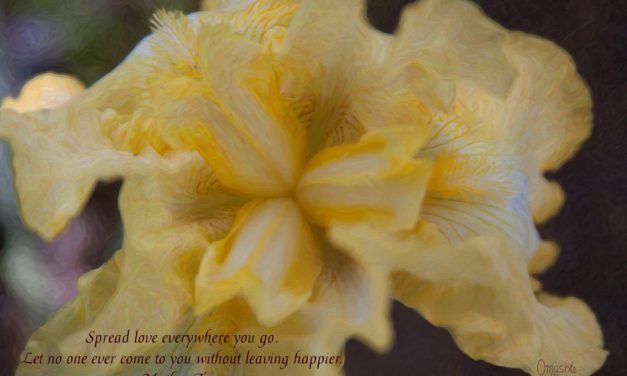 Spread love everywhere you go. Let no one ever come to you without leaving happier. ~Mother Theresa