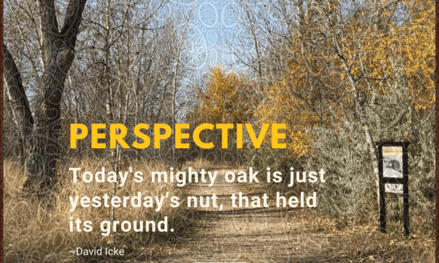 Today’s mighty oak is just yesterday’s nut, that held its ground. ~David Icke